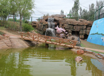 百鸟园鸟语林丰容