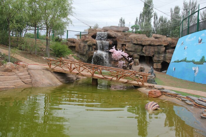 百鸟园鸟语林丰容