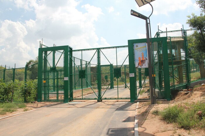 动物园车行区电动门