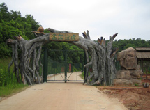 动物园车行区电动门景观丰容