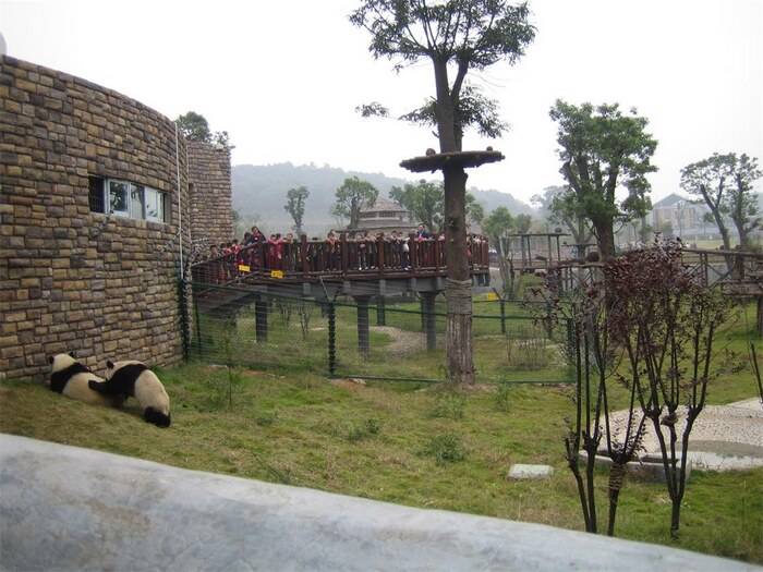 熊猫馆