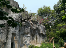 大熊猫景观塑石