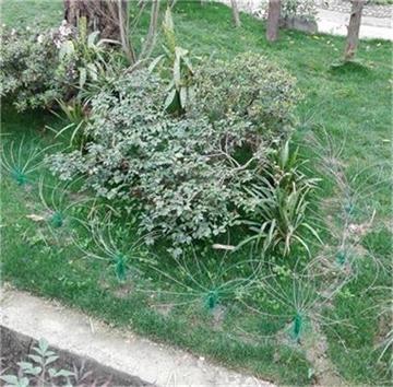 动物电草(草型电网)